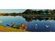 Picturesque pond view with waterfowl, framed by grassy shores and distant houses under a serene sky at 934 Westpark Dr, Celebration, FL 34747