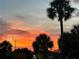 Beautiful sunset view with orange and pink clouds and palm trees at 3407 Santa Monica Dr, Orlando, FL 32822