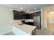Stylish kitchen featuring dark wood cabinets, stainless steel appliances, and quartz countertops at 4634 Tribute Trl, Kissimmee, FL 34746