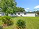 The backyard, landscaped with green grass and small palm trees at 5312 Kingswood Dr, Orlando, FL 32810