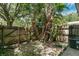Fenced backyard featuring tropical plants providing shade and privacy at 12155 Pepperdine Pl, Orlando, FL 32826