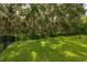 A lush green lawn is in the backyard with mature trees and a black metal fence at 3837 Carrick Bend Dr, Kissimmee, FL 34746