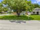Lush front yard with a mature shade tree, complemented by a verdant lawn and charming residential street view at 1501 Delaware Ave, St Cloud, FL 34769