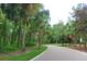 Scenic view of a tree-lined street with mature palm trees and lush green landscaping at 1456 Sourwood Dr, Ocoee, FL 34761