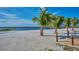 Sandy beach with palm trees and wooden posts leading to a pier on the lake at 4331 Valencia Dr, Indian Lake Estates, FL 33855