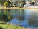 Peaceful pond view with ducks, and houses visible in the background at 2608 Whitewood Road, Mulberry, FL 33860