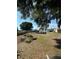 Large backyard with fenced perimeter and mature trees at 4316 Upper Meadow Rd, Mulberry, FL 33860