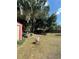 Large backyard with tire swing and mature trees at 4316 Upper Meadow Rd, Mulberry, FL 33860