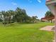 View of a backyard with lush grass, palm trees, and a fence at 431 Bay Leaf Dr, Kissimmee, FL 34759