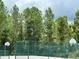 Community basketball court with green fence and surrounding trees at 431 Bay Leaf Dr, Kissimmee, FL 34759