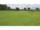 Dog park with grassy area and agility equipment at 5813 Sw 87Th Court Rd, Ocala, FL 34481