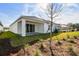 View of the house's back and backyard with landscaping at 5938 Bristle Oak St, Mount Dora, FL 32757