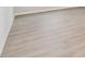 Light brown wood-look flooring at 5938 Bristle Oak St, Mount Dora, FL 32757
