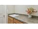Mudroom features a sink and gray countertop at 2024 Capri Ln, Mount Dora, FL 32757