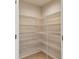 Walk-in pantry with plenty of storage space and shelving at 2024 Capri Ln, Mount Dora, FL 32757