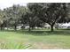 Neighborhood features mature shade trees with green yards and sidewalks at 17729 Se 114Th Ct, Summerfield, FL 34491
