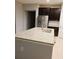 Spacious kitchen island is topped with marble and features a stainless steel sink at 745 Marsh Reed Dr, Winter Garden, FL 34787