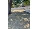 Backyard featuring lawn and exterior wall at 2409 W Central Ave, Winter Haven, FL 33880