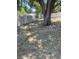 Backyard view with tree and partial fence at 2409 W Central Ave, Winter Haven, FL 33880