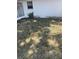 Backyard view with lawn and exterior of home at 2409 W Central Ave, Winter Haven, FL 33880