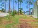 Backyard view with tall trees and a partially visible house at 2226 Baker Ave, Orlando, FL 32833