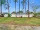 Simple backyard with tall pines and a white fence at 2226 Baker Ave, Orlando, FL 32833