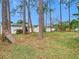 View of the backyard with tall pines and a white fence at 2226 Baker Ave, Orlando, FL 32833