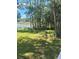 Large backyard with lush green grass and lake view at 2449 E Lake Dr, Deland, FL 32724