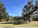 Peaceful backyard with large oak trees and pasture at 2300 Se 73Rd Loop, Ocala, FL 34480