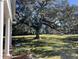 Spacious front yard with large oak tree and open field at 2300 Se 73Rd Loop, Ocala, FL 34480