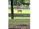 Serene view of a horse grazing in a lush green pasture at 2300 Se 73Rd Loop, Ocala, FL 34480