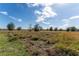 Open land with natural vegetation at 6085 Lightsey Rd, Fort Meade, FL 33841