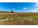 Open lot with sparse vegetation at 6085 Lightsey Rd, Fort Meade, FL 33841
