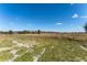 Vacant lot with grassy and sandy areas at 6085 Lightsey Rd, Fort Meade, FL 33841