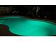 Relaxing kidney-shaped pool at night with green lighting at 8710 Hinsdale Heights Dr, Polk City, FL 33868