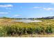 Peaceful lake view with lush vegetation at 213 Aidans Ldg, Haines City, FL 33844