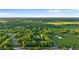 Aerial view showcasing home nestled in a lush, wooded area at 1528 Walker Rd, Lakeland, FL 33810