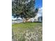 Spacious backyard with large tree and shed at 1054 N Platte Way, Kissimmee, FL 34759