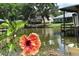 Scenic waterfront view featuring a hibiscus flower and lush greenery at 225 Temple Cir, Eustis, FL 32726