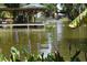 Picturesque water view with floating docks and lush aquatic plants in the foreground at 225 Temple Cir, Eustis, FL 32726