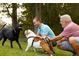 Two men playing with their dogs in a park at 16970 Cedar Valley Cir, Clermont, FL 34711