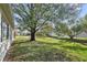 Spacious backyard with large tree and grassy area at 2003 Rocky Pointe Dr, Lakeland, FL 33813