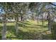 Landscaped backyard with mature trees and Spanish moss at 2003 Rocky Pointe Dr, Lakeland, FL 33813