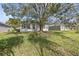 Backyard with large tree and grassy slope at 2003 Rocky Pointe Dr, Lakeland, FL 33813