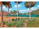 A view through Palm trees of outdoor tennis courts surrounded by green fencing and lush landscaping in a vibrant community at 515 Torres Pl, Lady Lake, FL 32159