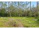 Wooded backyard with grassy area and tire swing at 2519 State Park Rd, Lakeland, FL 33805