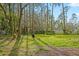 Spacious backyard with tire swing, tall trees, and grassy area at 2519 State Park Rd, Lakeland, FL 33805