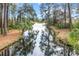 Peaceful canal view with lush trees and vegetation at 11730 Sw 230Th Avenue Rd, Dunnellon, FL 34431