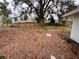 Large backyard with mature trees and a wooden fence at 605 Aldama Ct, Ocoee, FL 34761