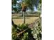 Large grassy backyard with a palm tree in the center and a black fence around the property at 113 Walton Heath Dr, Orlando, FL 32828